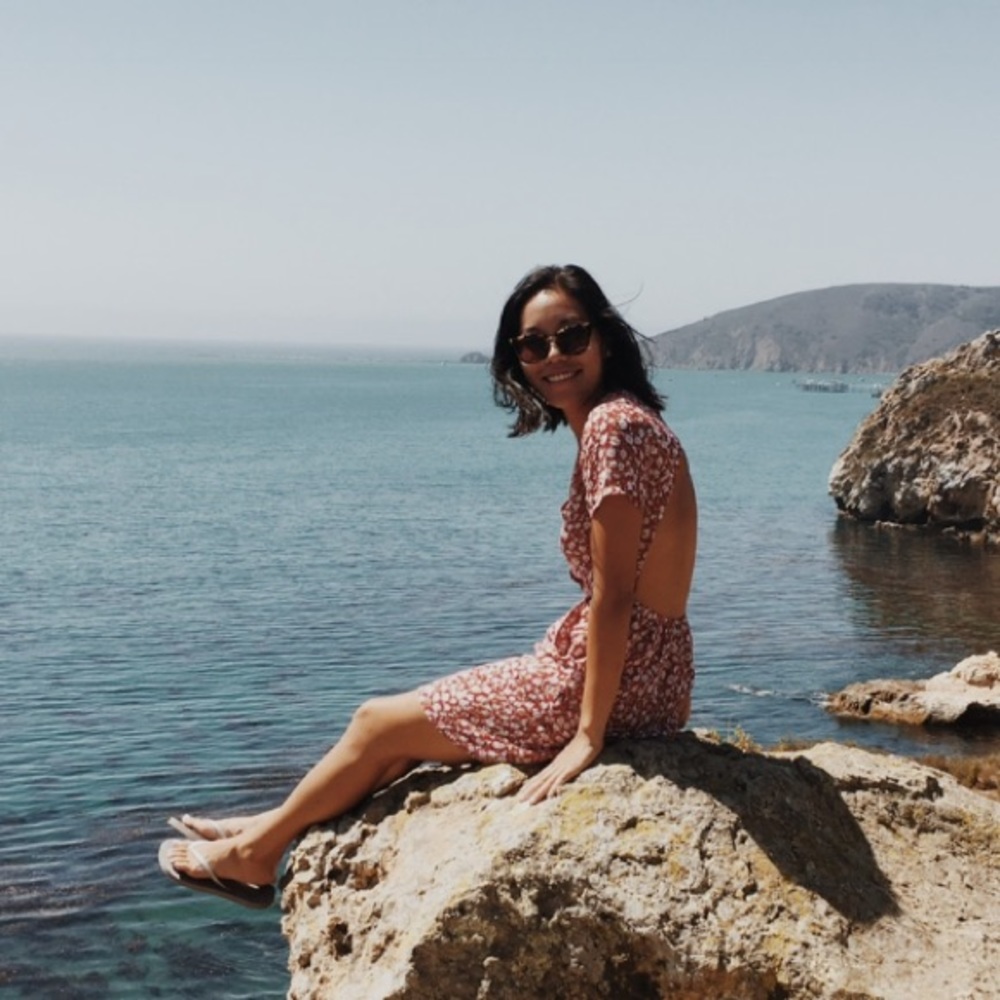 reformation bbq dress